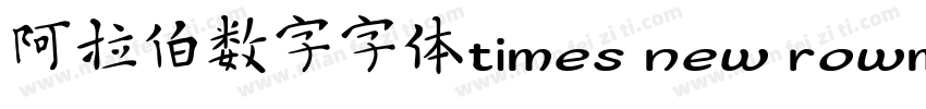 阿拉伯数字字体times new rowman字体转换